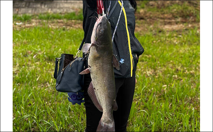 ファミリーフィッシングで手軽に大物釣りたいなら【アメリカナマズ釣りで決まり！】