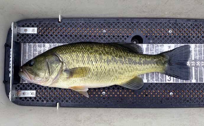 「魚探トラブルを克服！」ネコリグを使って47cm良型バスをキャッチ【三重・比奈知ダム】