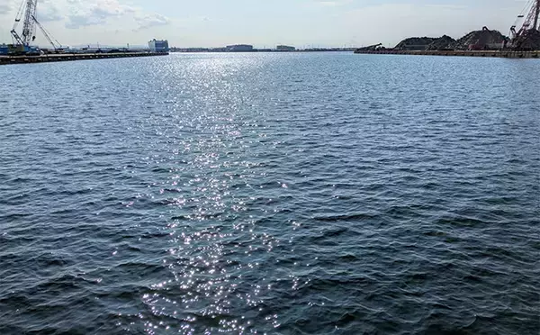 「泉大津エリアのサヨリ釣りで14匹確保！【大阪】渋い時間帯はライトソルトゲームでサバ連発」の画像