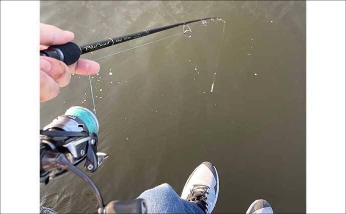 ロッド（釣竿）とリールどちらからお金をかけるべき？　分かりやすさならリールか