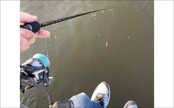 「ロッド（釣竿）とリールどちらからお金をかけるべき？　分かりやすさならリールか」の画像