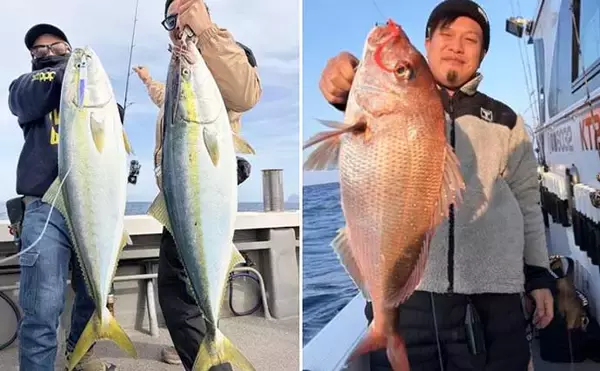 「明石沖タイラバで数型どちらも狙える好シーズン到来！【船釣り特選釣果・関西】」の画像