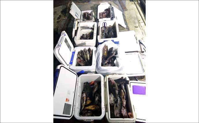 明石沖タイラバで数型どちらも狙える好シーズン到来！【船釣り特選釣果・関西】