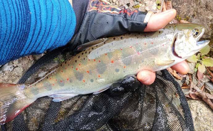渓流釣りに必要な3要素は「フィジカル」「メンタリティ」「思考」！