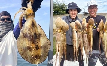 ボートエギングでアオリイカと対面成功！【沖のルアー釣果速報6選・愛知／静岡】