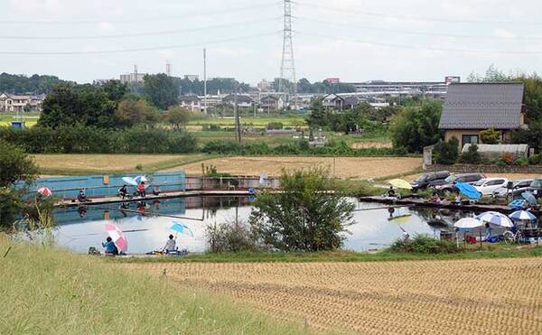 今週のヘラブナ推薦釣り場22 埼玉県 九頭竜沼 22年10月12日 エキサイトニュース