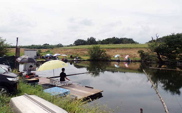 今週のヘラブナ推薦釣り場2022【埼玉県・九頭竜沼】