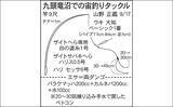 「今週のヘラブナ推薦釣り場2022【埼玉県・九頭竜沼】」の画像6
