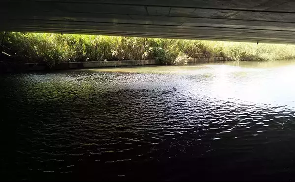 「秋の小河川でシーバスの数釣りを満喫【千葉】超激浅ポイントにもシーバスはいる！」の画像