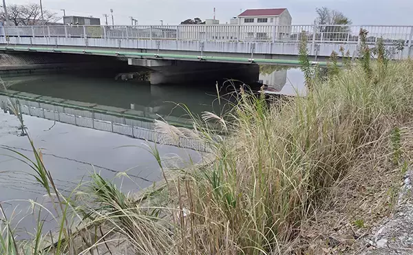 「秋の小河川でシーバスの数釣りを満喫【千葉】超激浅ポイントにもシーバスはいる！」の画像