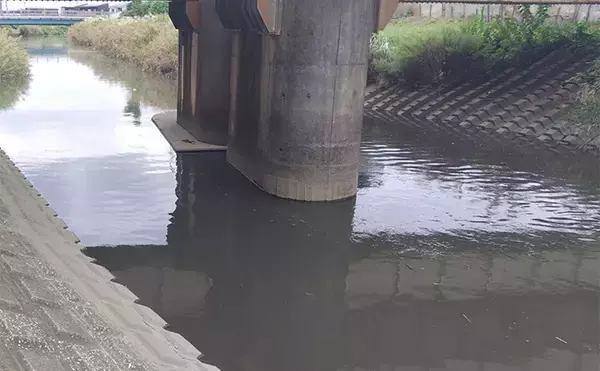 「秋の小河川でシーバスの数釣りを満喫【千葉】超激浅ポイントにもシーバスはいる！」の画像