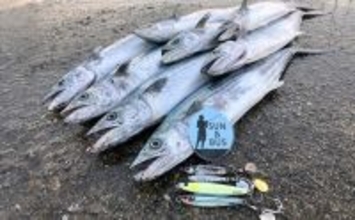 午後の時合いにサゴシ5連発！【大阪南港魚つり園】メタルジグ速巻きに好反応