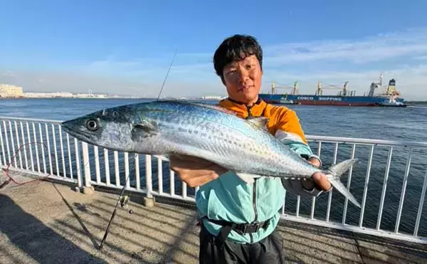 「午後の時合いにサゴシ5連発！【大阪南港魚つり園】メタルジグ速巻きに好反応」の画像
