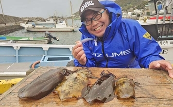 解禁直後の相模湾ティップランで良型アオリイカを次々キャッチ！【神奈川】強風攻略で釣果が急伸