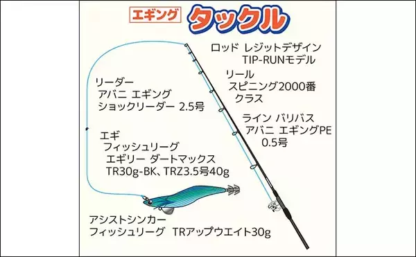 「解禁直後の相模湾ティップランで良型アオリイカを次々キャッチ！【神奈川】強風攻略で釣果が急伸」の画像