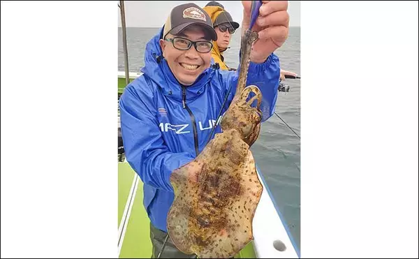 「解禁直後の相模湾ティップランで良型アオリイカを次々キャッチ！【神奈川】強風攻略で釣果が急伸」の画像