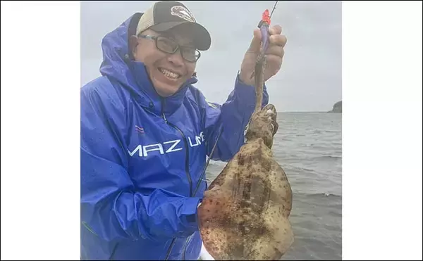 「解禁直後の相模湾ティップランで良型アオリイカを次々キャッチ！【神奈川】強風攻略で釣果が急伸」の画像