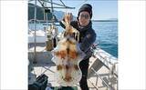 「22kgヒラマサ登場！トップウォータープラグにヒット【沖のルアー釣果速報9選・福岡】」の画像10