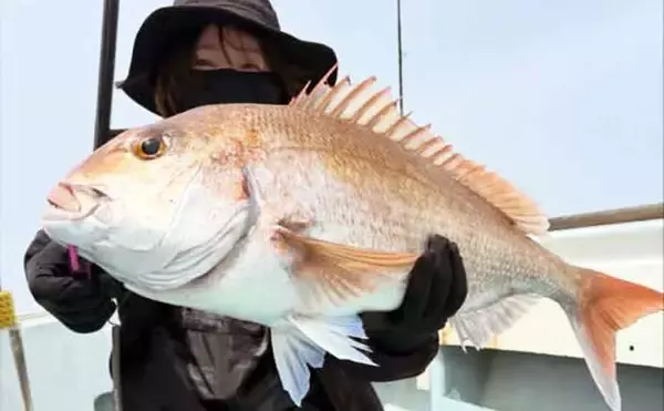 「22kgヒラマサ登場！トップウォータープラグにヒット【沖のルアー釣果速報9選・福岡】」の画像