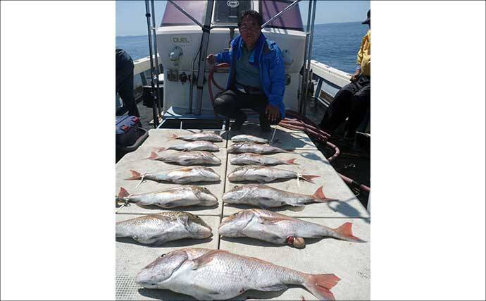 22kgヒラマサ登場！トップウォータープラグにヒット【沖のルアー釣果速報9選・福岡】