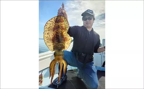 「22kgヒラマサ登場！トップウォータープラグにヒット【沖のルアー釣果速報9選・福岡】」の画像