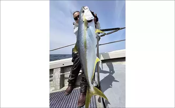 「22kgヒラマサ登場！トップウォータープラグにヒット【沖のルアー釣果速報9選・福岡】」の画像