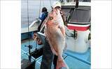 「22kgヒラマサ登場！トップウォータープラグにヒット【沖のルアー釣果速報9選・福岡】」の画像9