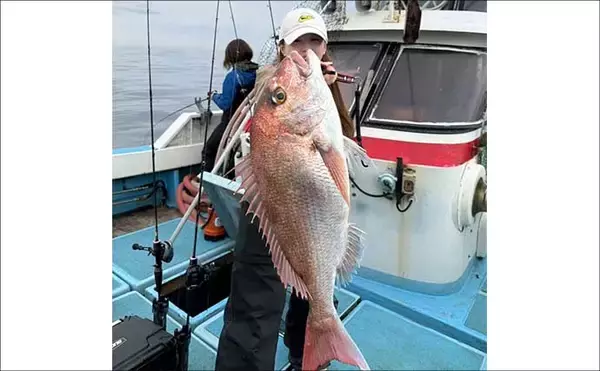 「22kgヒラマサ登場！トップウォータープラグにヒット【沖のルアー釣果速報9選・福岡】」の画像
