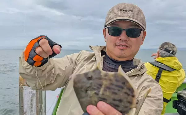 「「フグ・カワハギ船」でカワハギを好捕【愛知・おざき丸】ジャンボヒガンフグは不発」の画像