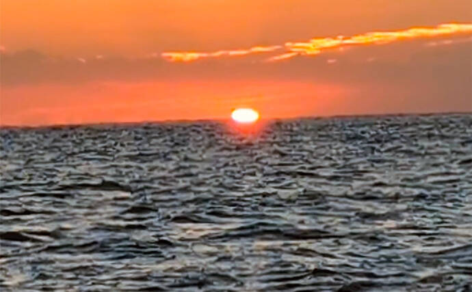 マハタジギングでまさかのシイラがヒット【三重】季節外れの連発の不思議