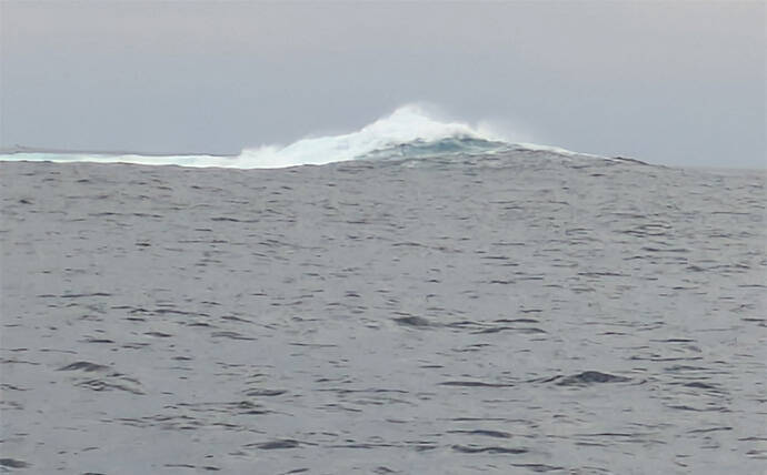 マハタジギングでまさかのシイラがヒット【三重】季節外れの連発の不思議