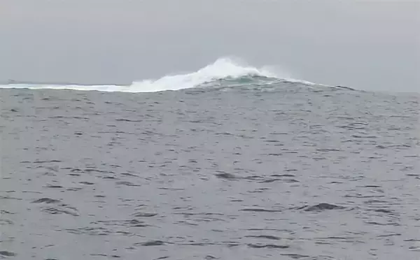 「マハタジギングでまさかのシイラがヒット【三重】季節外れの連発の不思議」の画像