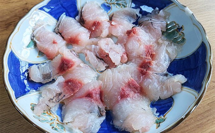 マハタジギングでまさかのシイラがヒット【三重】季節外れの連発の不思議