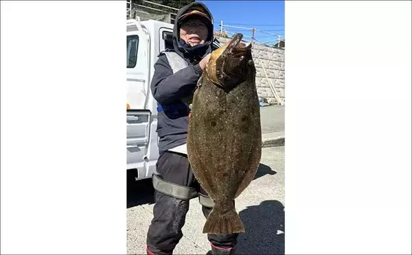 「「34cmが登場！」カワハギ釣りで大型狙いチャンス到来【船釣り釣果速報・三重】」の画像