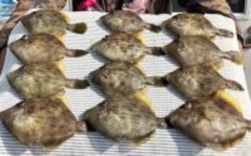 「34cmが登場！」カワハギ釣りで大型狙いチャンス到来【船釣り釣果速報・三重】