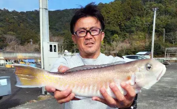 「「34cmが登場！」カワハギ釣りで大型狙いチャンス到来【船釣り釣果速報・三重】」の画像