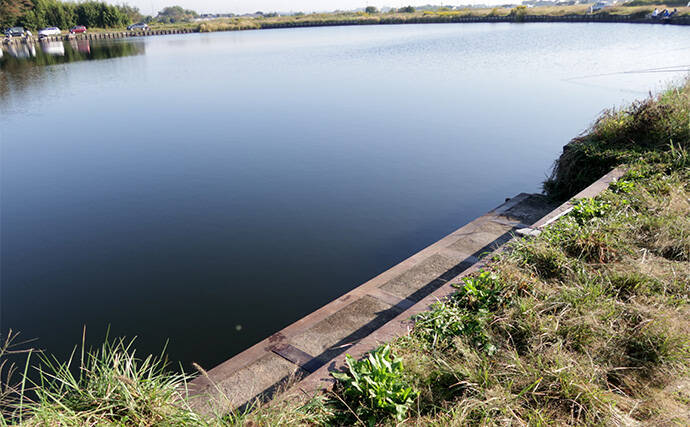 今週のヘラブナ推薦釣り場2023【茨城・中沼】