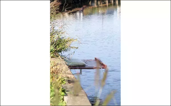 「今週のヘラブナ推薦釣り場2023【茨城・中沼】」の画像