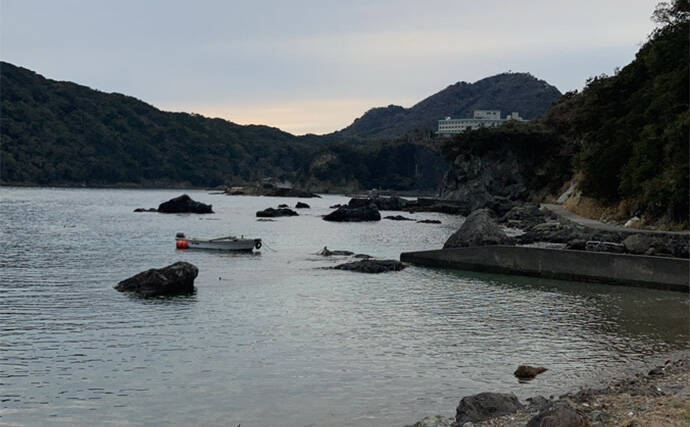 鍋田浜のエギングで良型アオリイカ8杯手中【静岡・伊豆】水温高めで高活性か