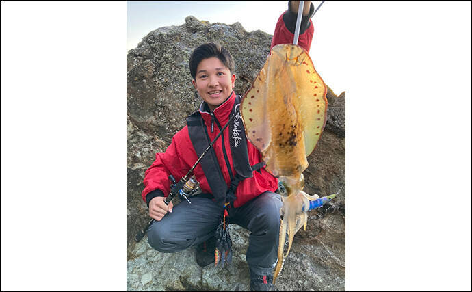 鍋田浜のエギングで良型アオリイカ8杯手中【静岡・伊豆】水温高めで高活性か