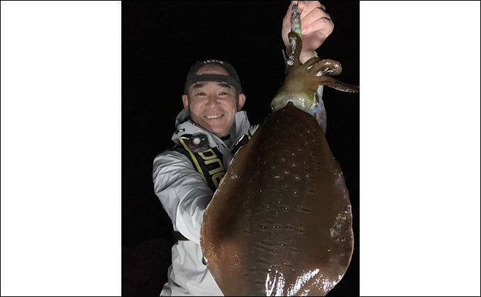 鍋田浜のエギングで良型アオリイカ8杯手中【静岡・伊豆】水温高めで高活性か
