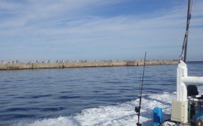 『鹿島港海釣園』でのサヨリ釣りで大苦戦　仕掛けのセレクトが運命を分ける？