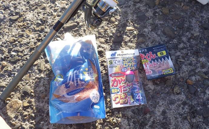 『鹿島港海釣園』でのサヨリ釣りで大苦戦　仕掛けのセレクトが運命を分ける？