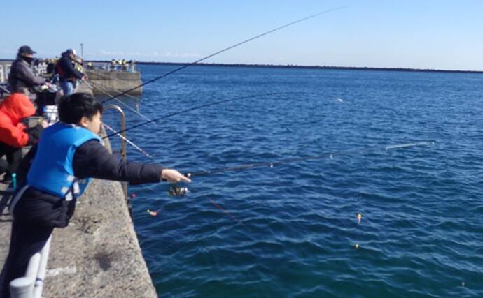 『鹿島港海釣園』でのサヨリ釣りで大苦戦　仕掛けのセレクトが運命を分ける？