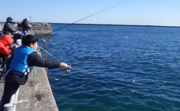 「『鹿島港海釣園』でのサヨリ釣りで大苦戦　仕掛けのセレクトが運命を分ける？」の画像