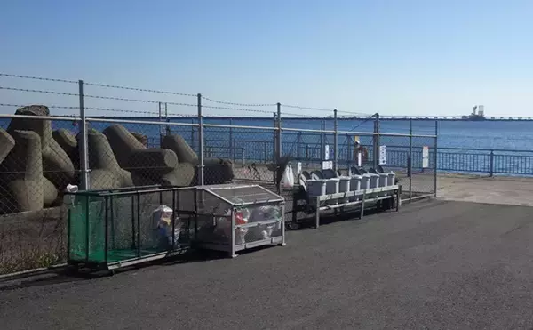 「『鹿島港海釣園』でのサヨリ釣りで大苦戦　仕掛けのセレクトが運命を分ける？」の画像