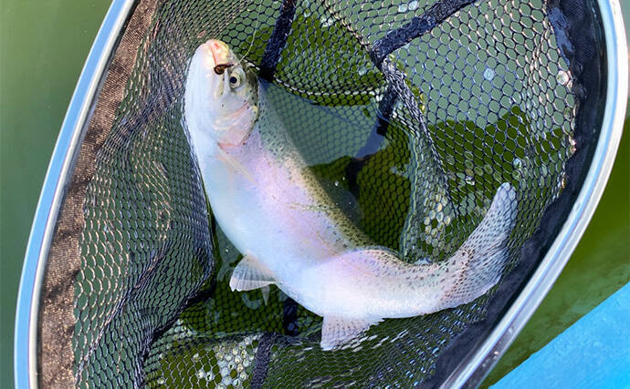 プールフィッシングで良型ニジマスを連打【しらこばと水上公園】フライで挑戦