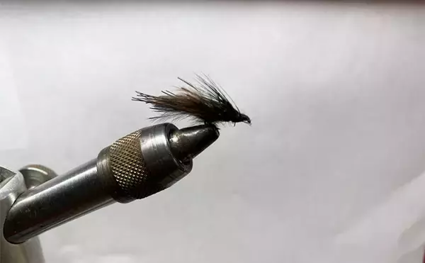 「プールフィッシングで良型ニジマスを連打【しらこばと水上公園】フライで挑戦」の画像