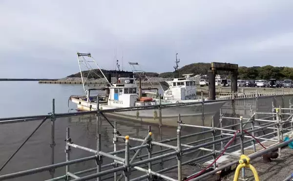 「最低気温0度の中でもアサリを続々発見！ 無人島での潮干狩りで6kgと好スタート」の画像