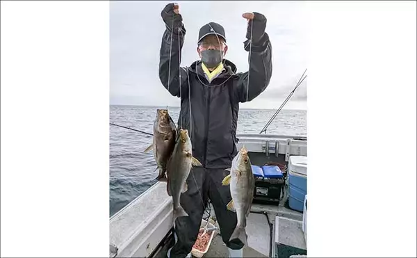 「玄界灘イサキ釣りが最盛期に突入！クーラー満タン続出【船のエサ釣り最新情報6選・福岡】」の画像